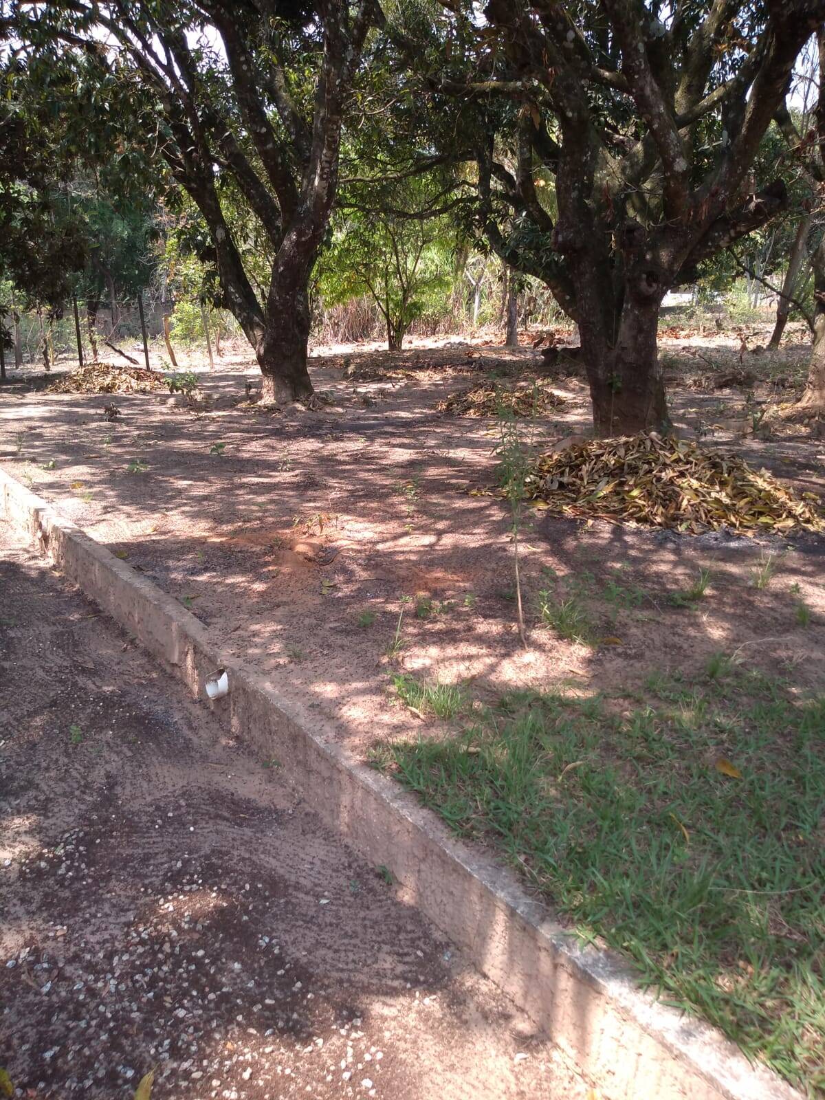 Chácara, 7 quartos, 1 hectares - Foto 22