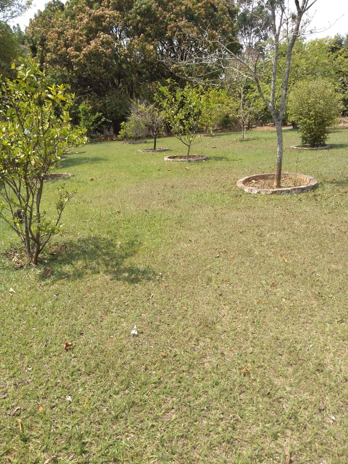 Chácara, 7 quartos, 1 hectares - Foto 30