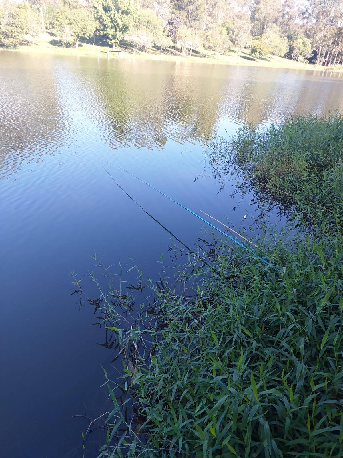 Chácara, 4 quartos, 4200 m² - Foto 3