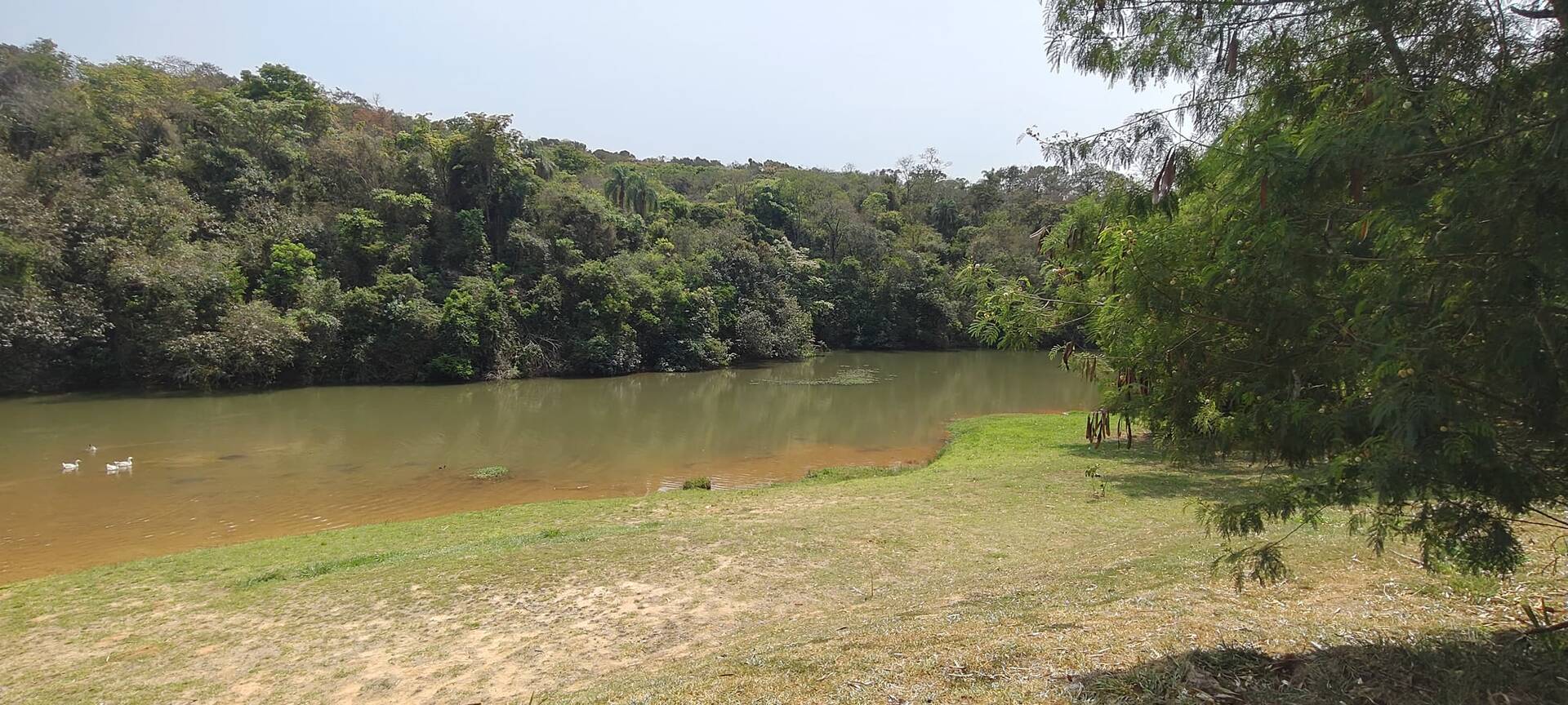 Chácara, 6 quartos, 700 m² - Foto 36