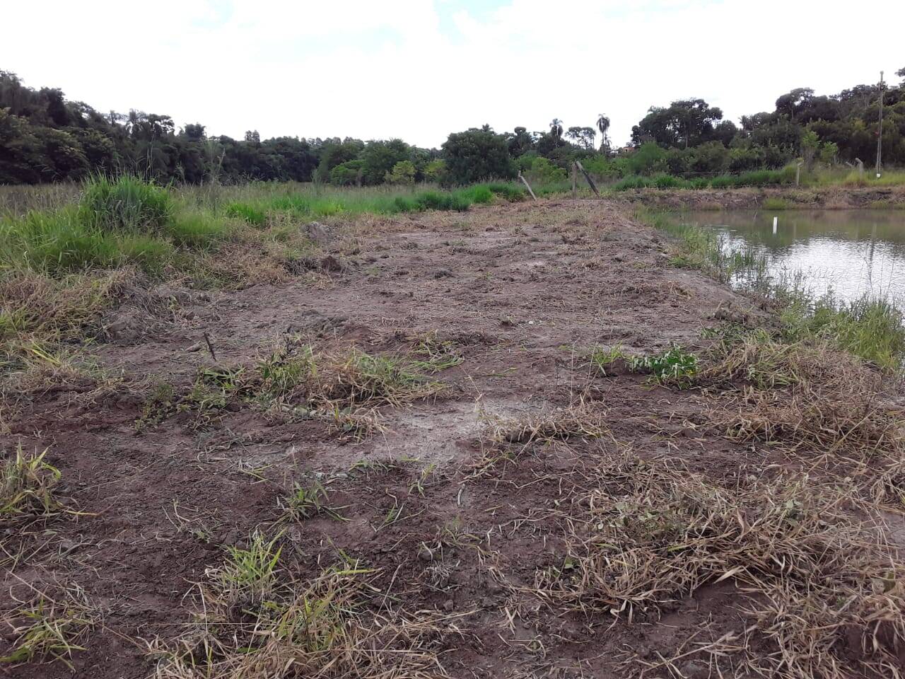 Terreno, 2 hectares - Foto 2