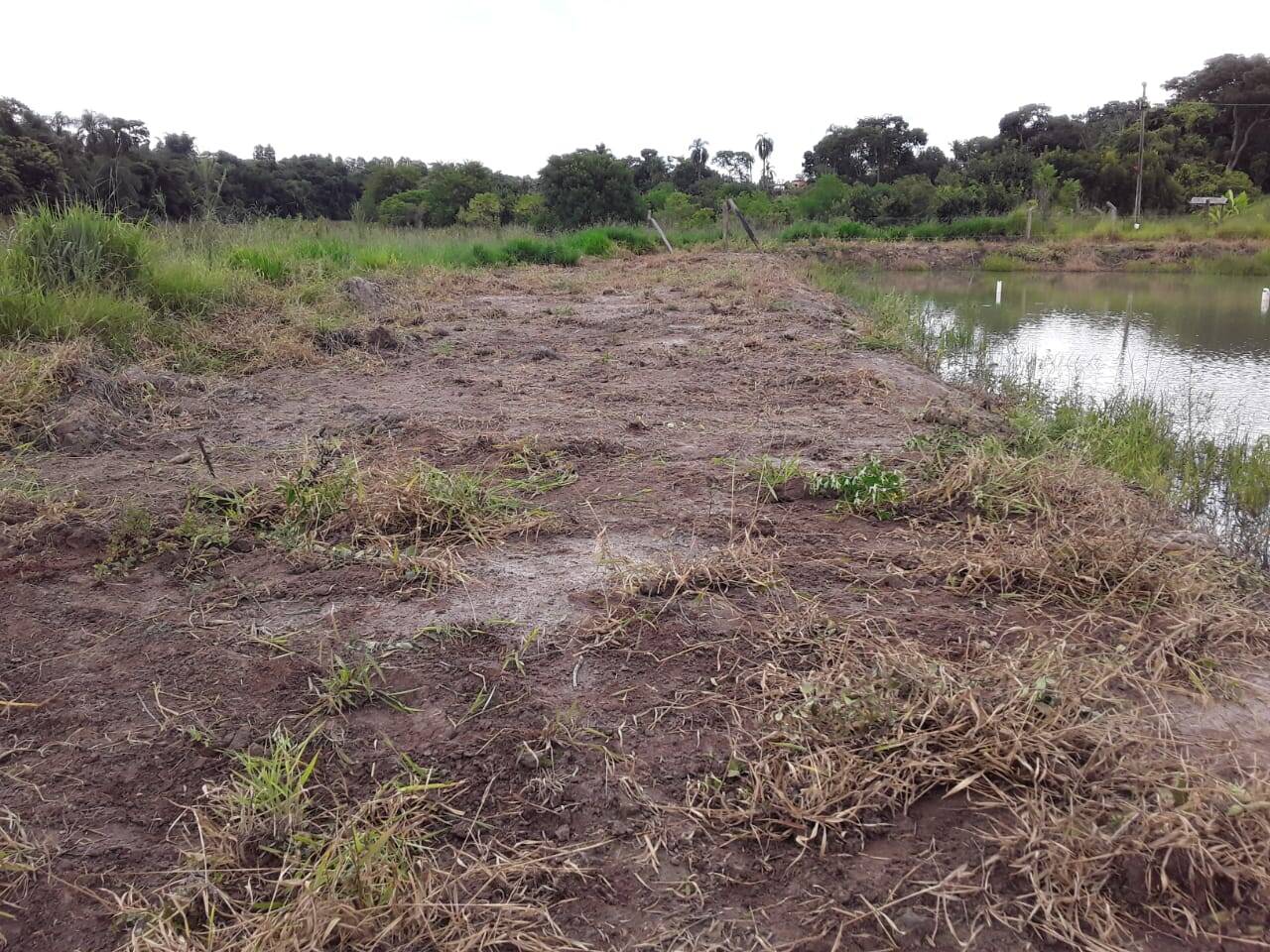 Terreno, 2 hectares - Foto 3