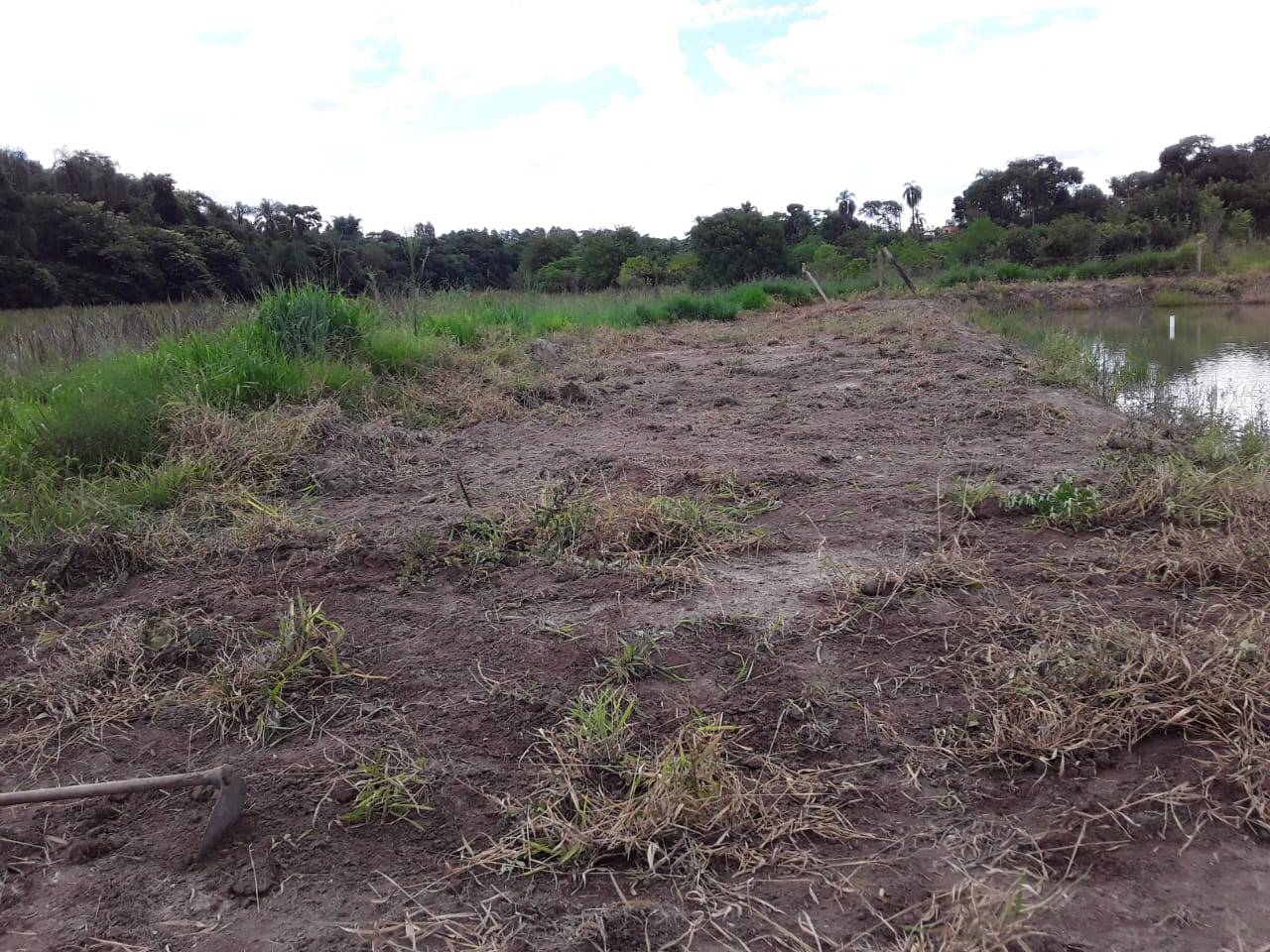 Terreno, 2 hectares - Foto 4