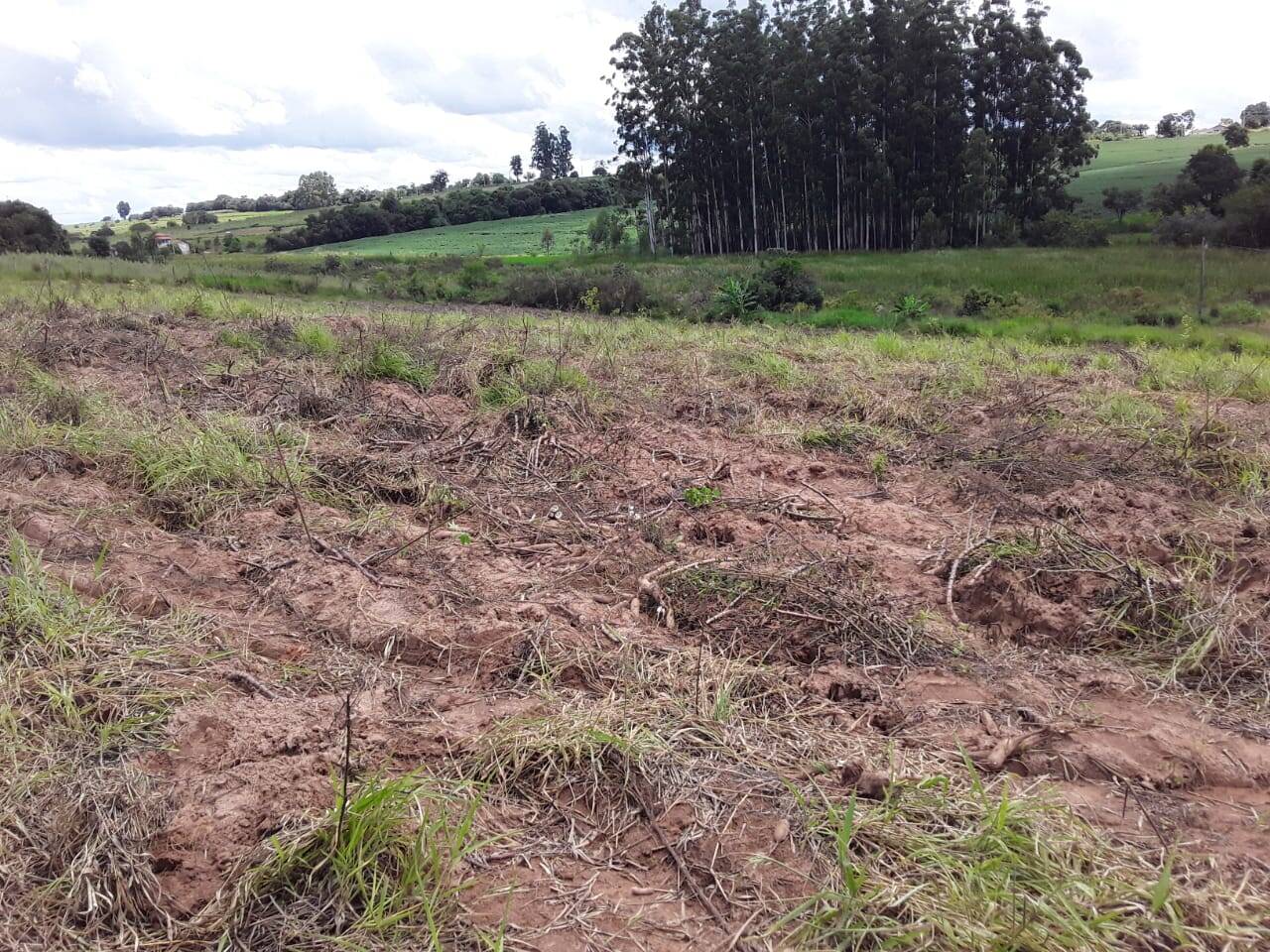 Terreno, 2 hectares - Foto 5