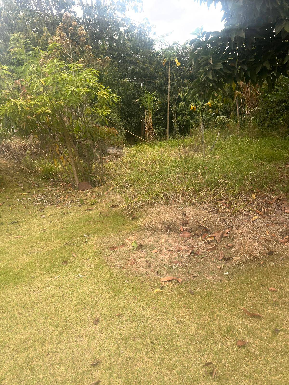 Terreno, 1000 m² - Foto 3