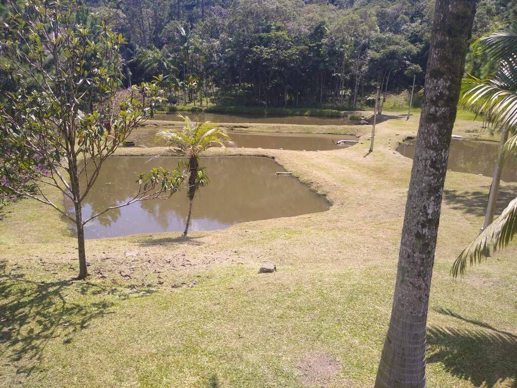 Sítio, 4 quartos, 3 hectares - Foto 4