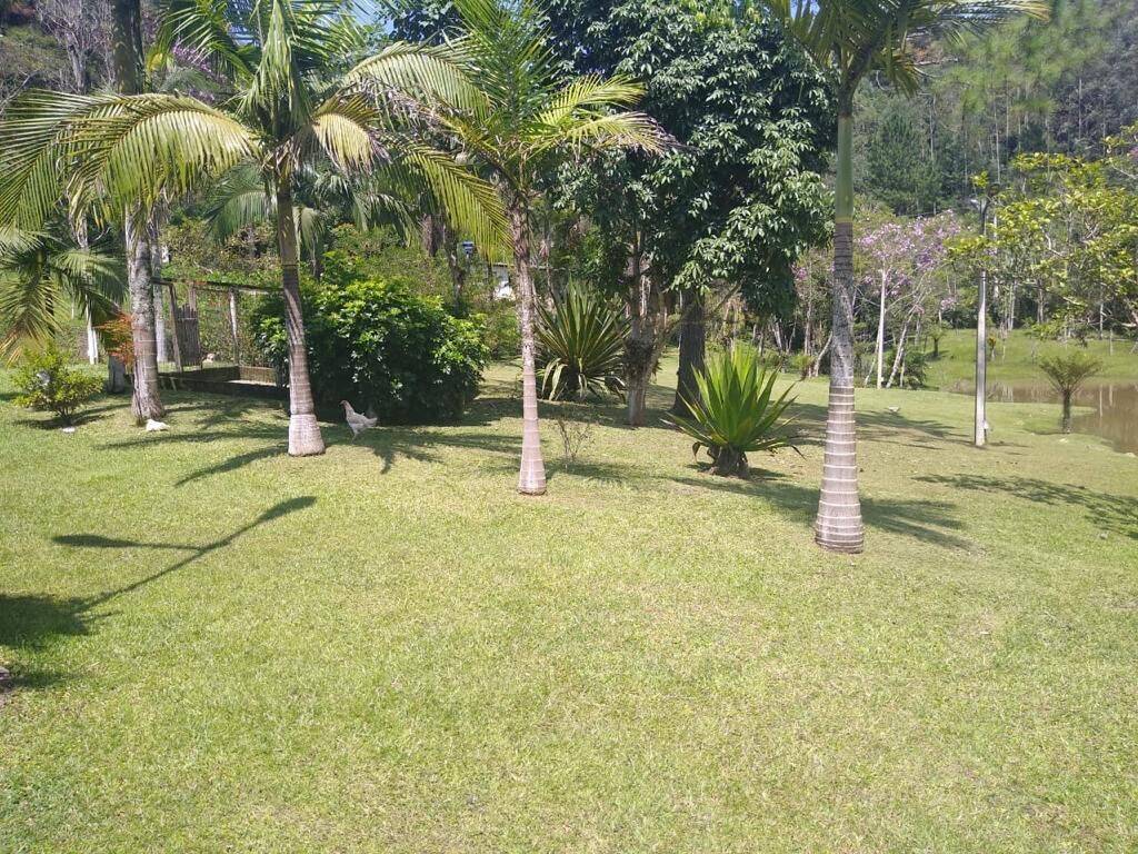 Sítio, 4 quartos, 3 hectares - Foto 5