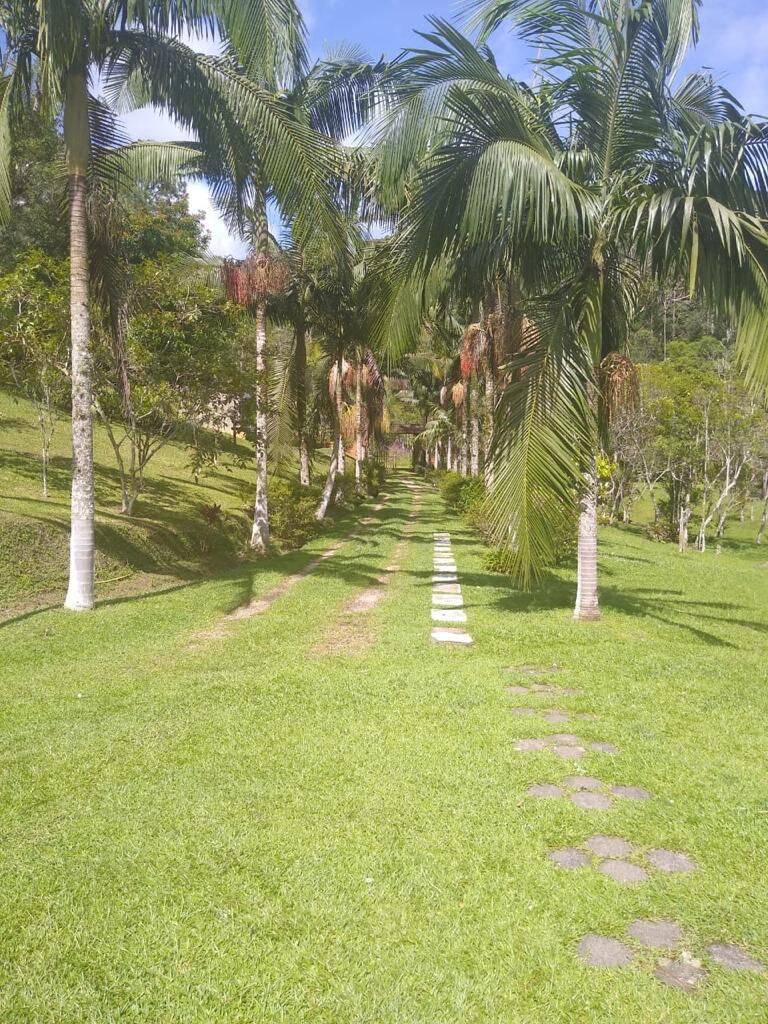 Sítio, 4 quartos, 3 hectares - Foto 2