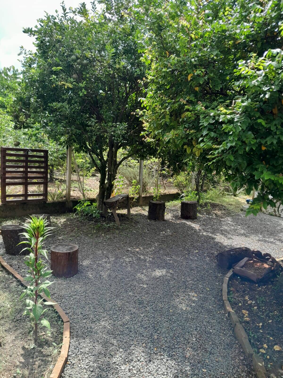 Chácara, 2 quartos, 1500 m² - Foto 4