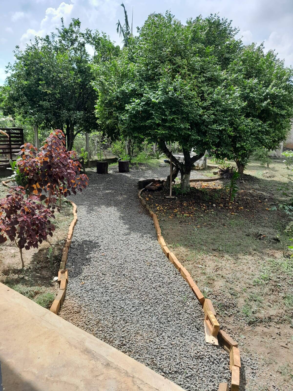 Chácara, 2 quartos, 1500 m² - Foto 8