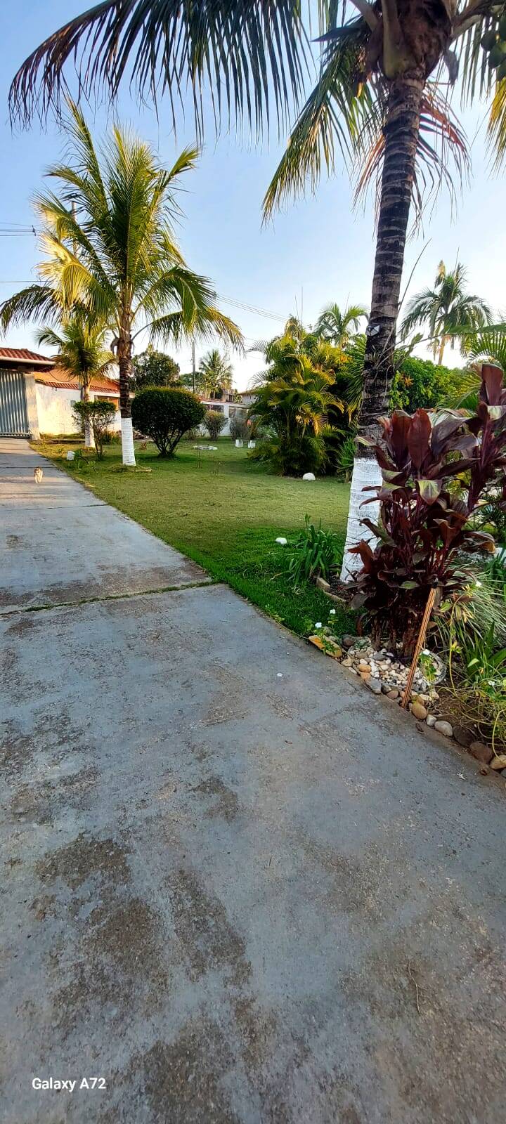 Chácara, 2 quartos, 1500 m² - Foto 13