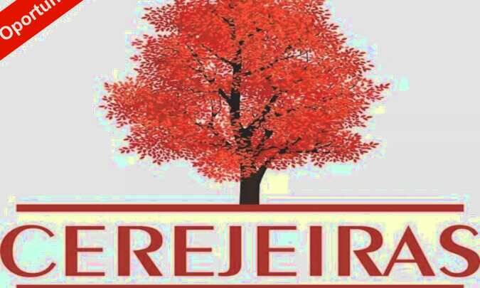 Terreno, 310 m² - Foto 1