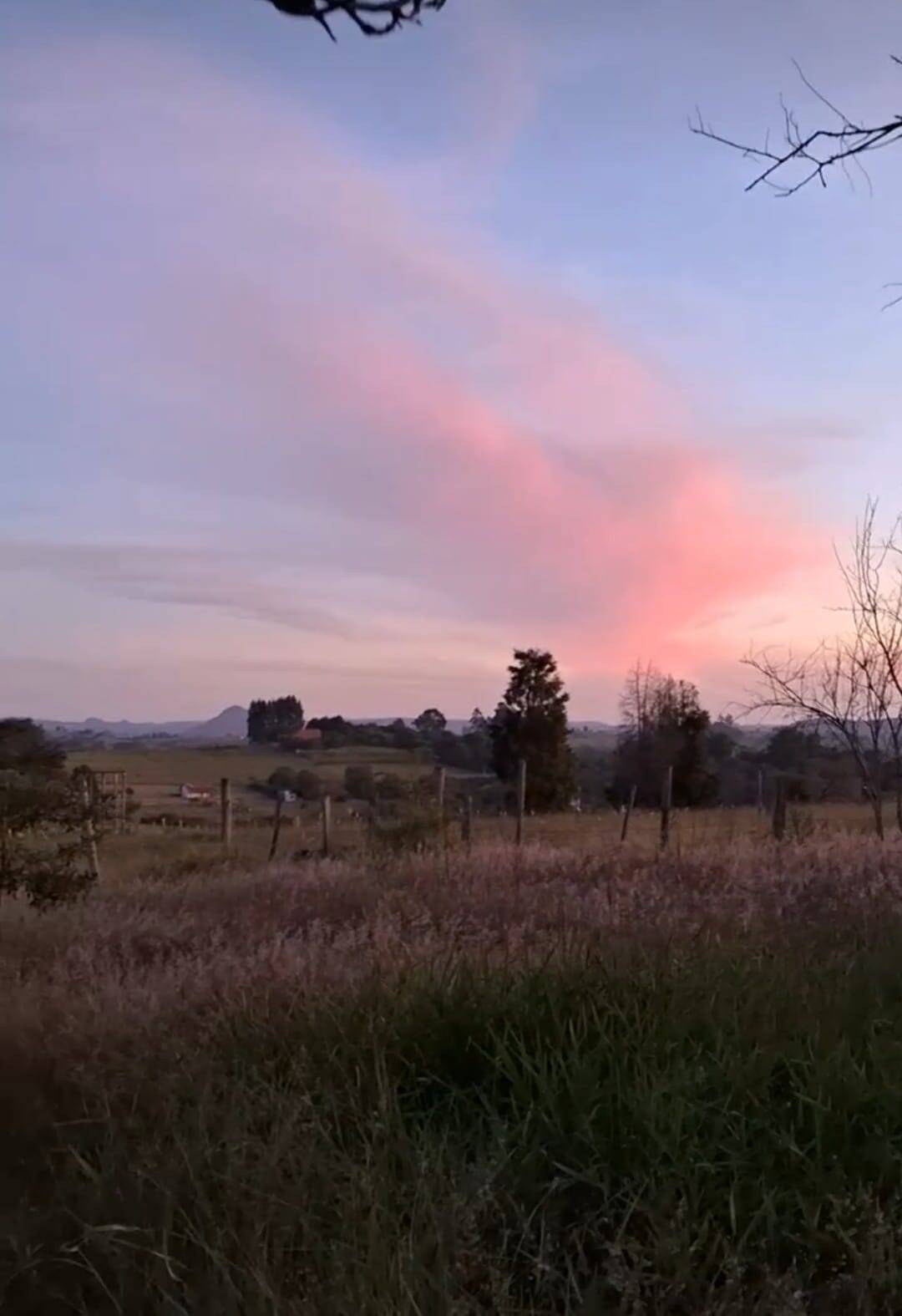 Sítio, 3 quartos, 3 hectares - Foto 2