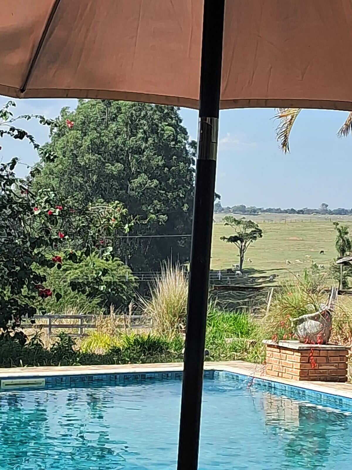 Sítio, 3 quartos, 3 hectares - Foto 3