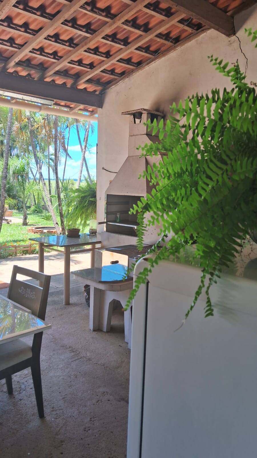 Sítio, 3 quartos, 3 hectares - Foto 5