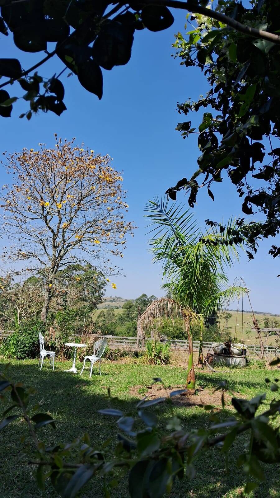 Sítio, 3 quartos, 3 hectares - Foto 9