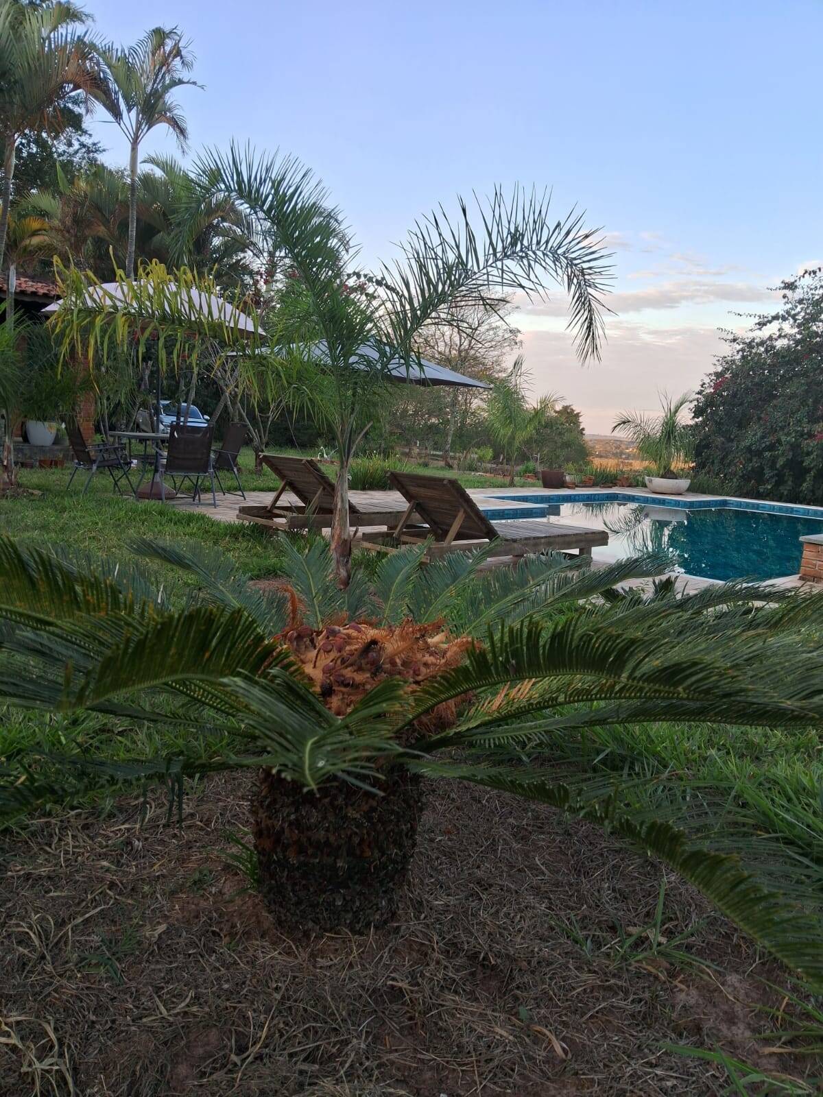 Sítio, 3 quartos, 3 hectares - Foto 13