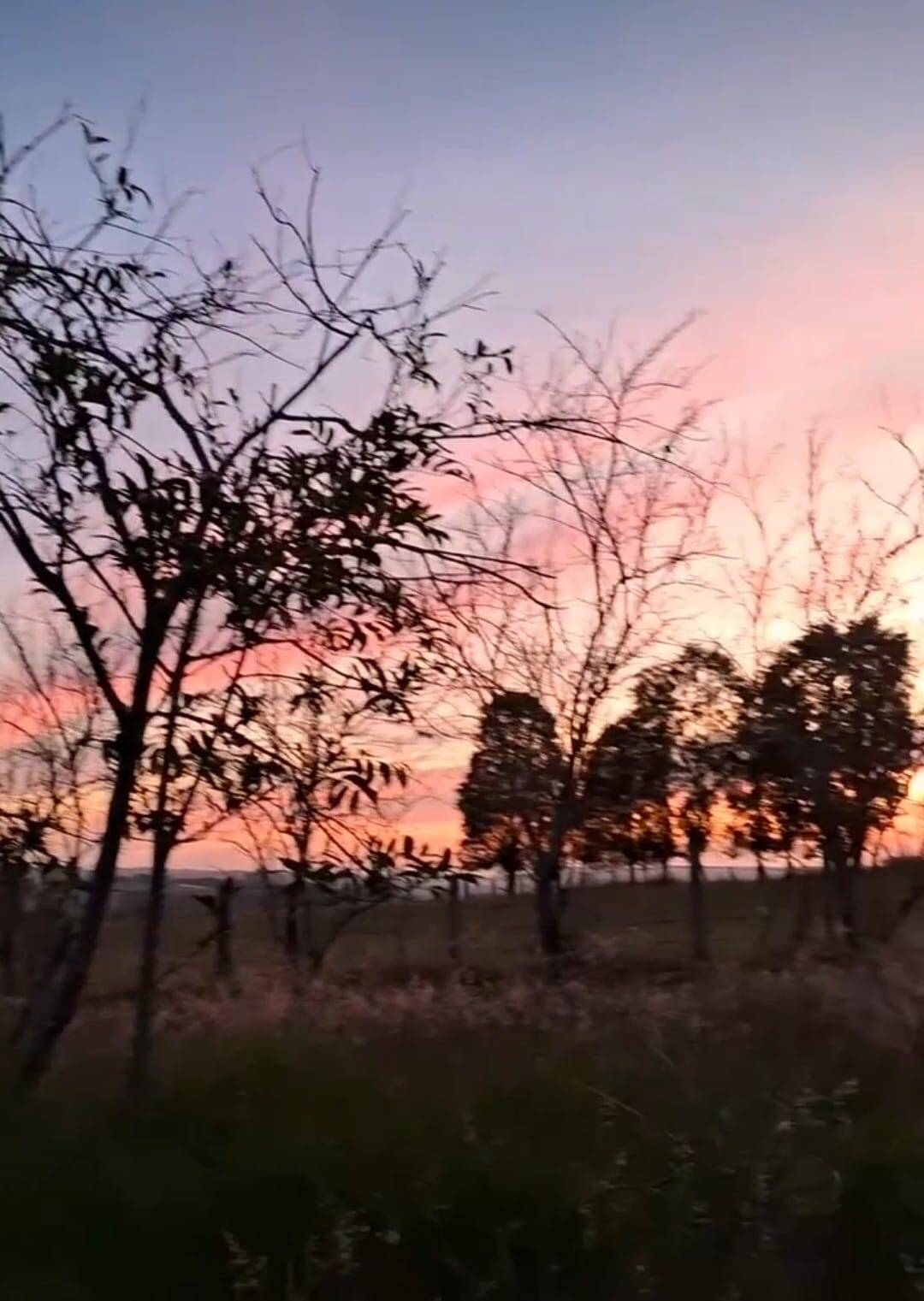 Sítio, 3 quartos, 3 hectares - Foto 14