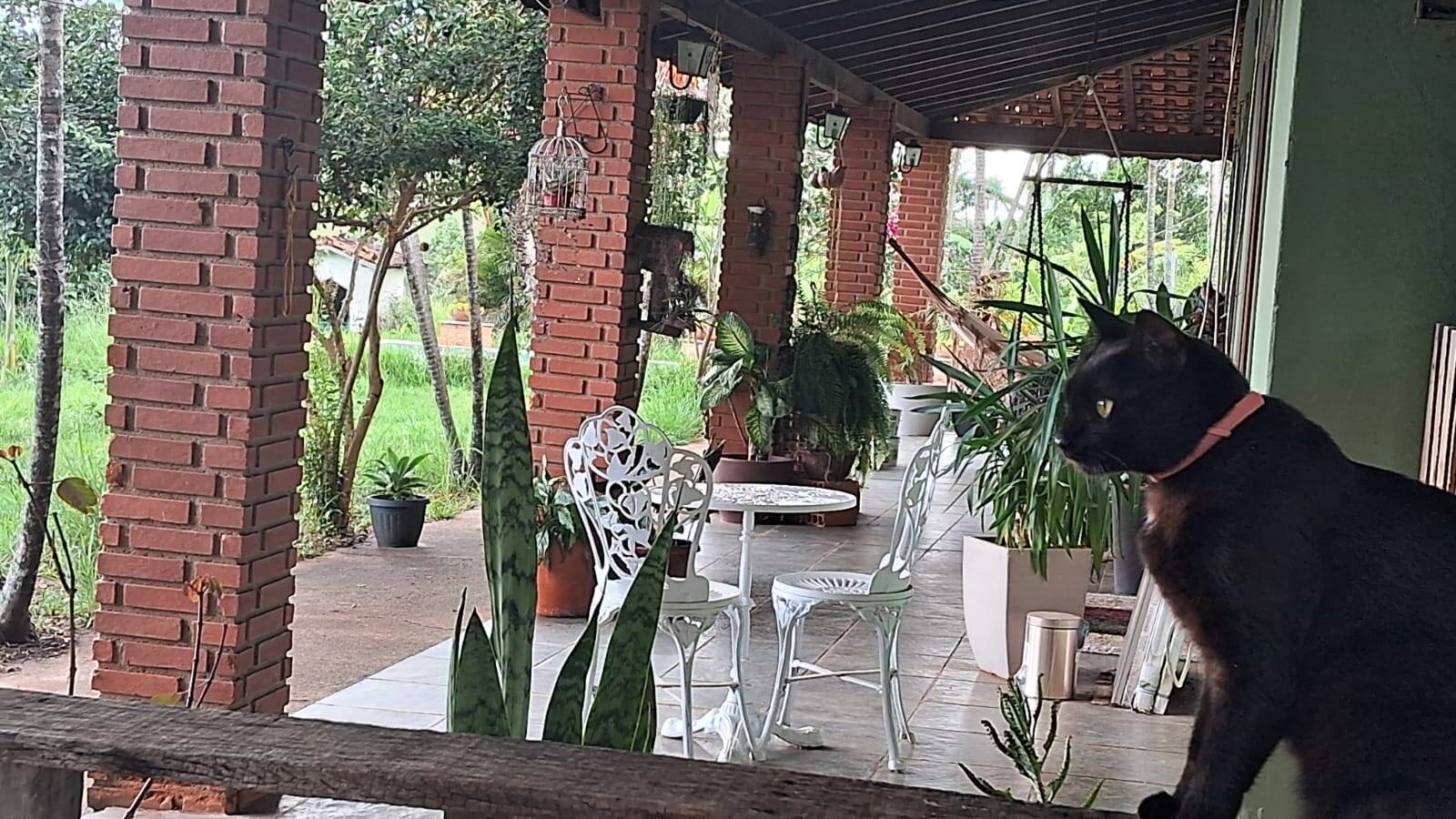 Sítio, 3 quartos, 3 hectares - Foto 16