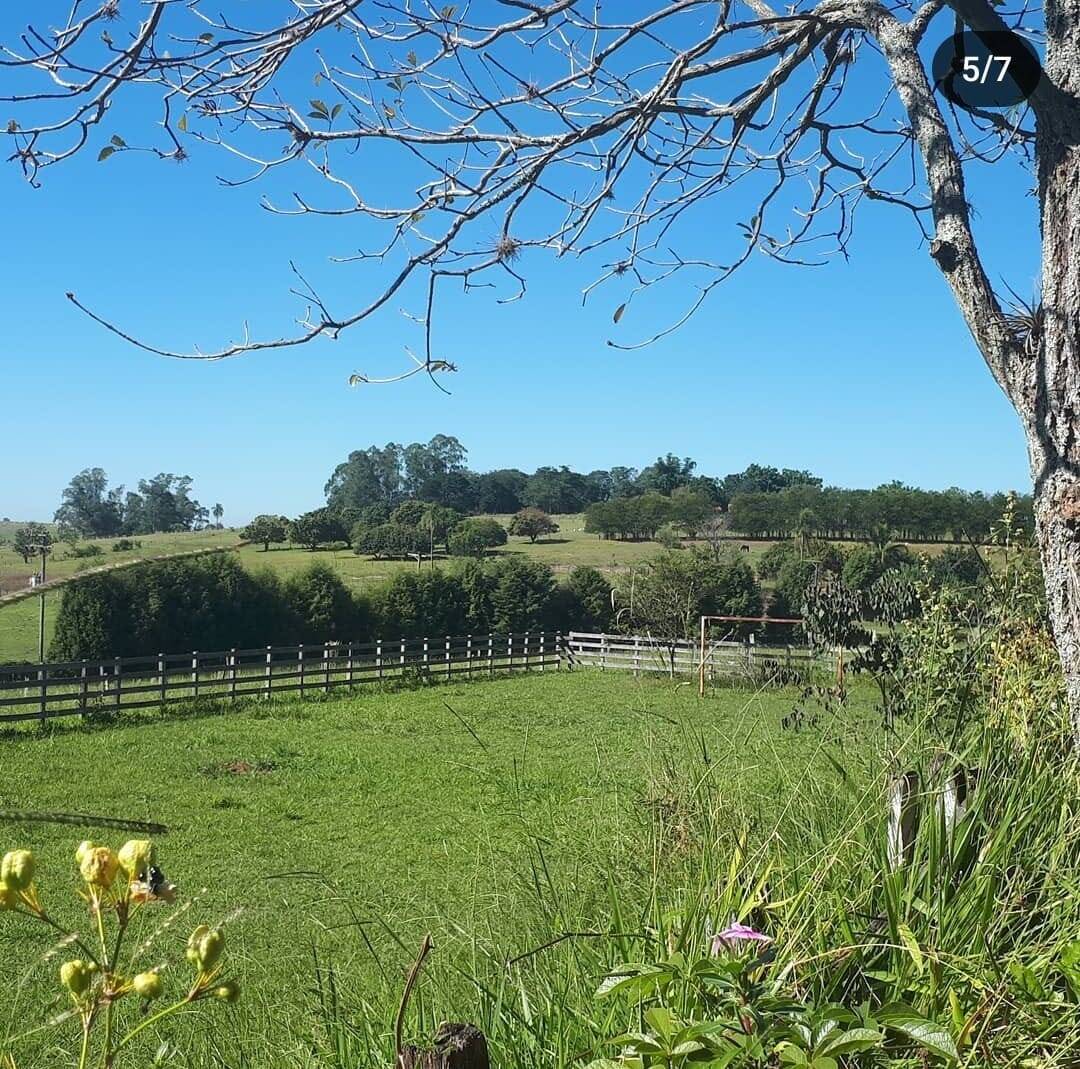 Sítio, 3 quartos, 3 hectares - Foto 19