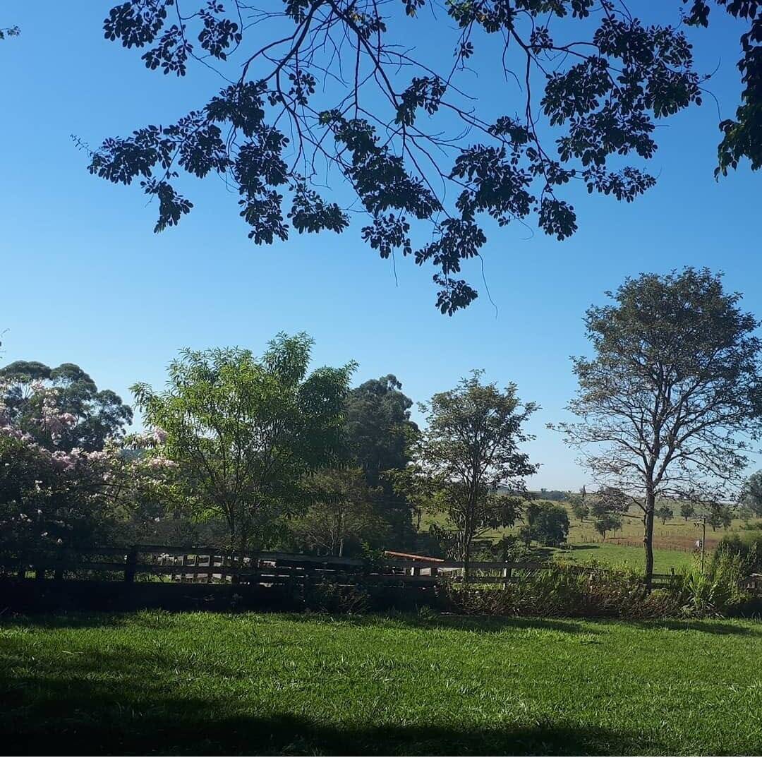 Sítio, 3 quartos, 3 hectares - Foto 20