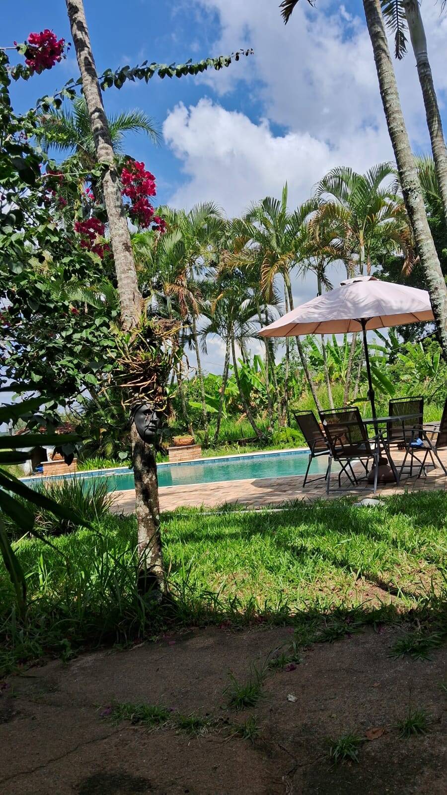 Sítio, 3 quartos, 3 hectares - Foto 22