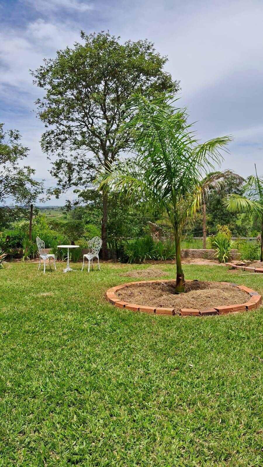 Sítio, 3 quartos, 3 hectares - Foto 21