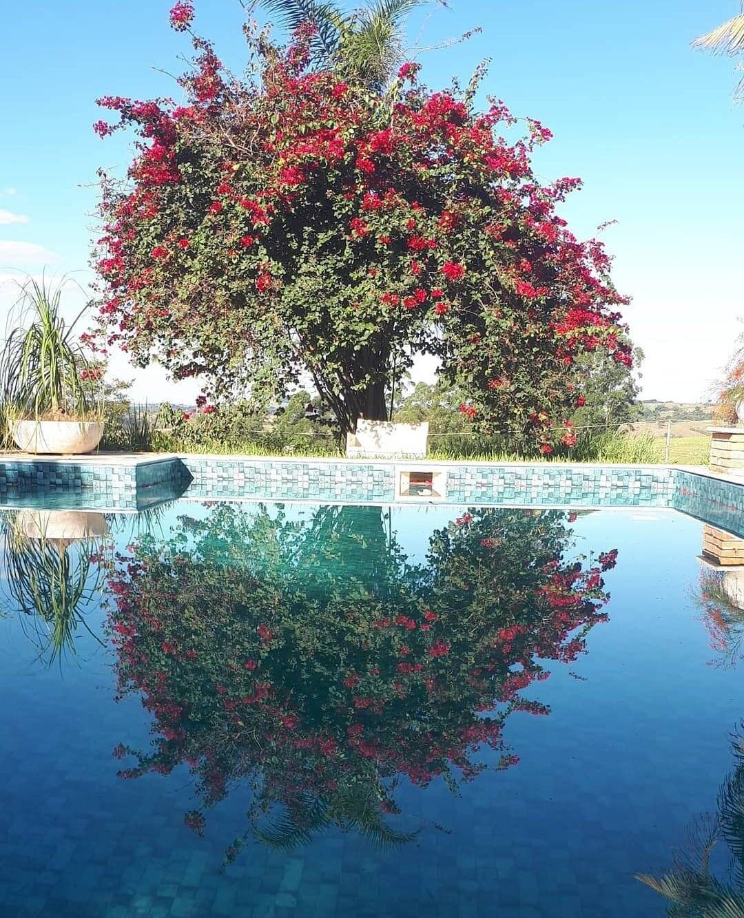 Sítio, 3 quartos, 3 hectares - Foto 24