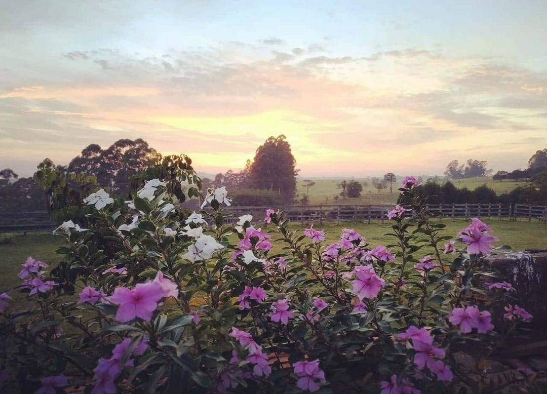 Sítio, 3 quartos, 3 hectares - Foto 30