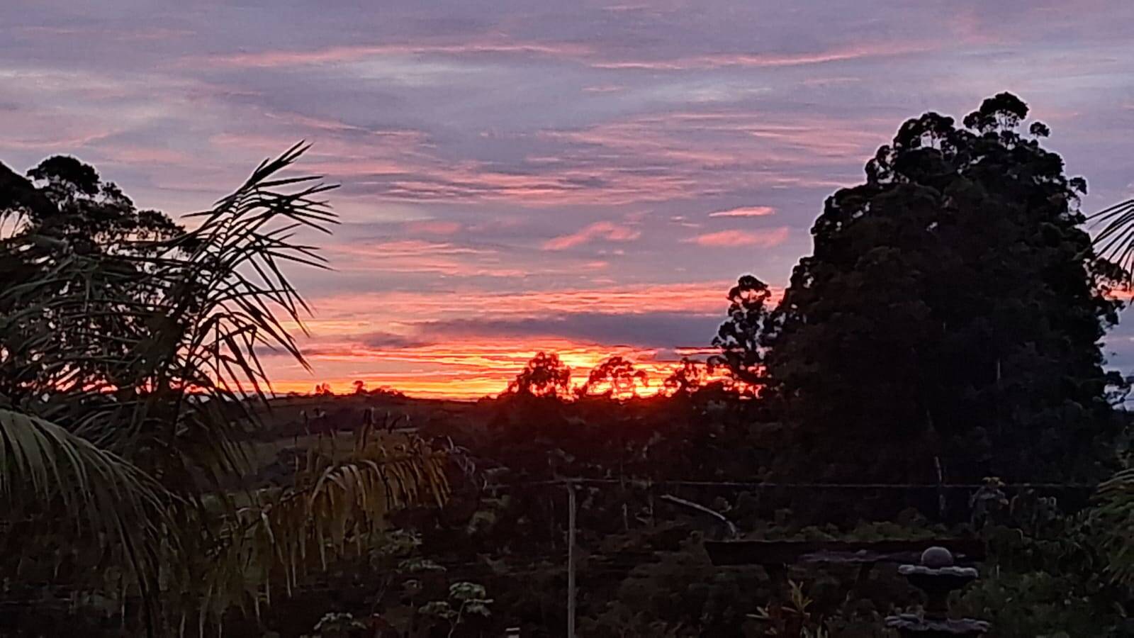 Sítio, 3 quartos, 3 hectares - Foto 32