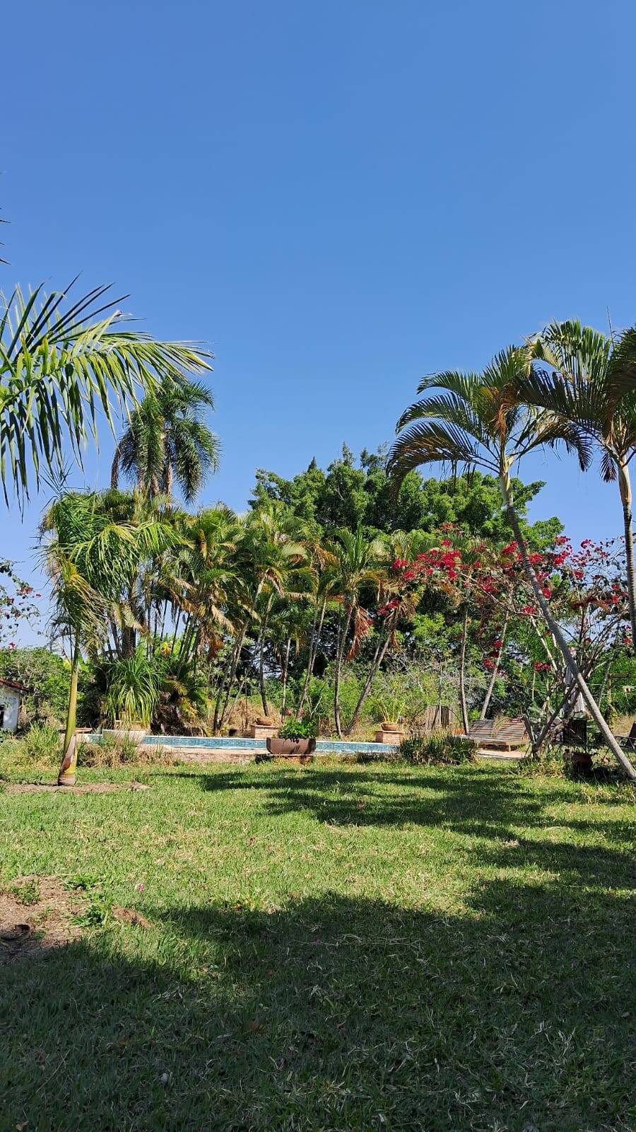 Sítio, 3 quartos, 3 hectares - Foto 33