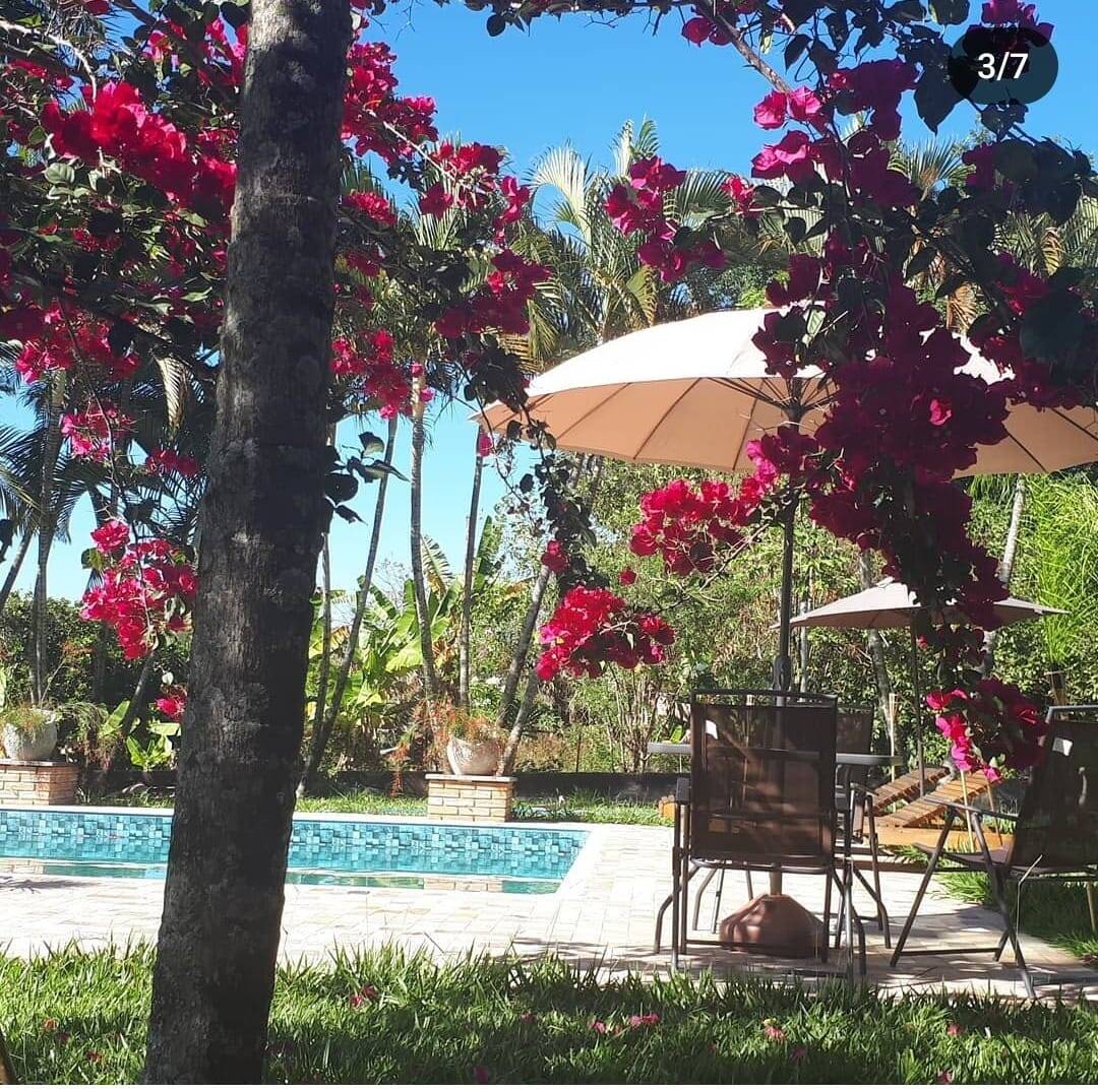 Sítio, 3 quartos, 3 hectares - Foto 34