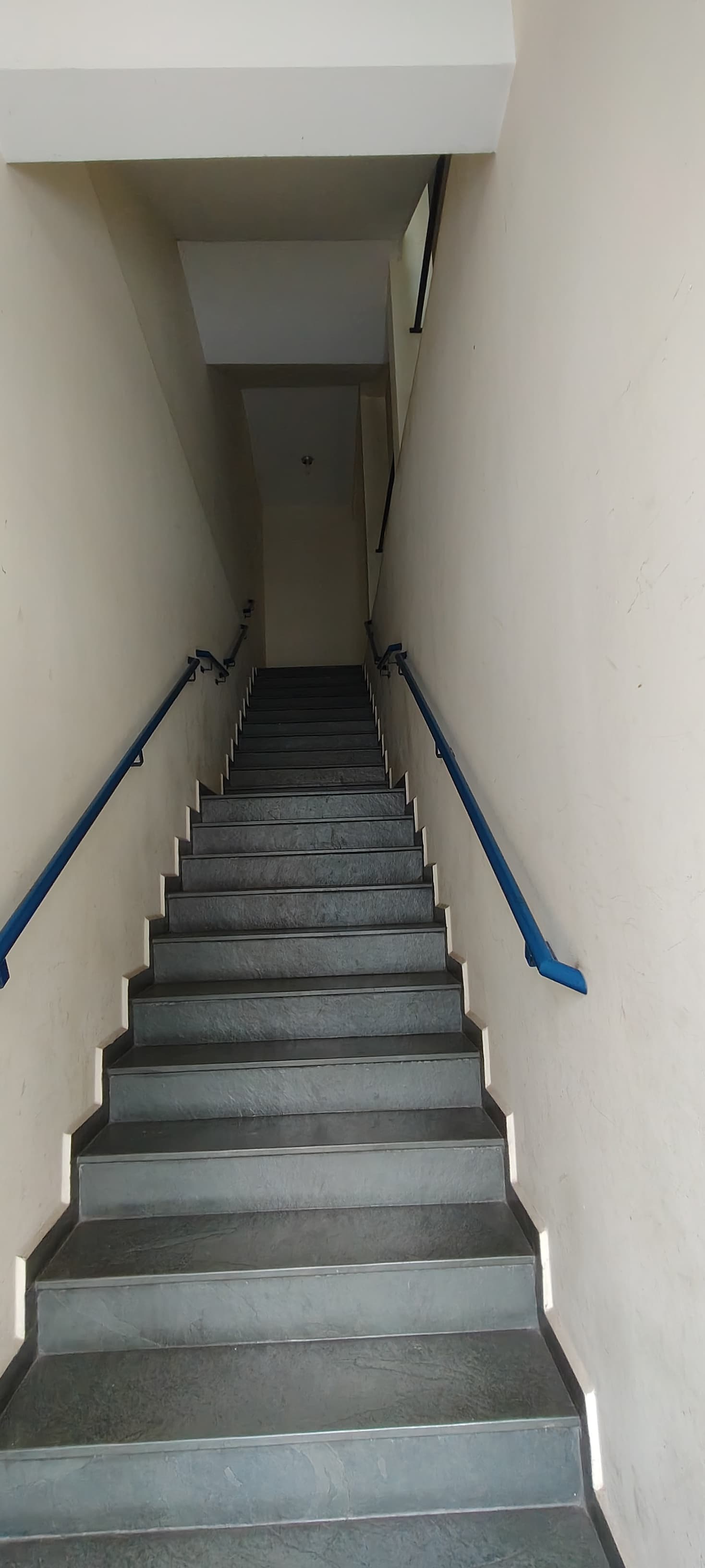 Sala-Conjunto - Foto 8