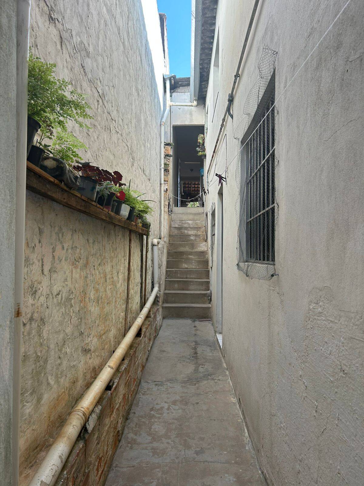 Casa, 3 quartos - Foto 11