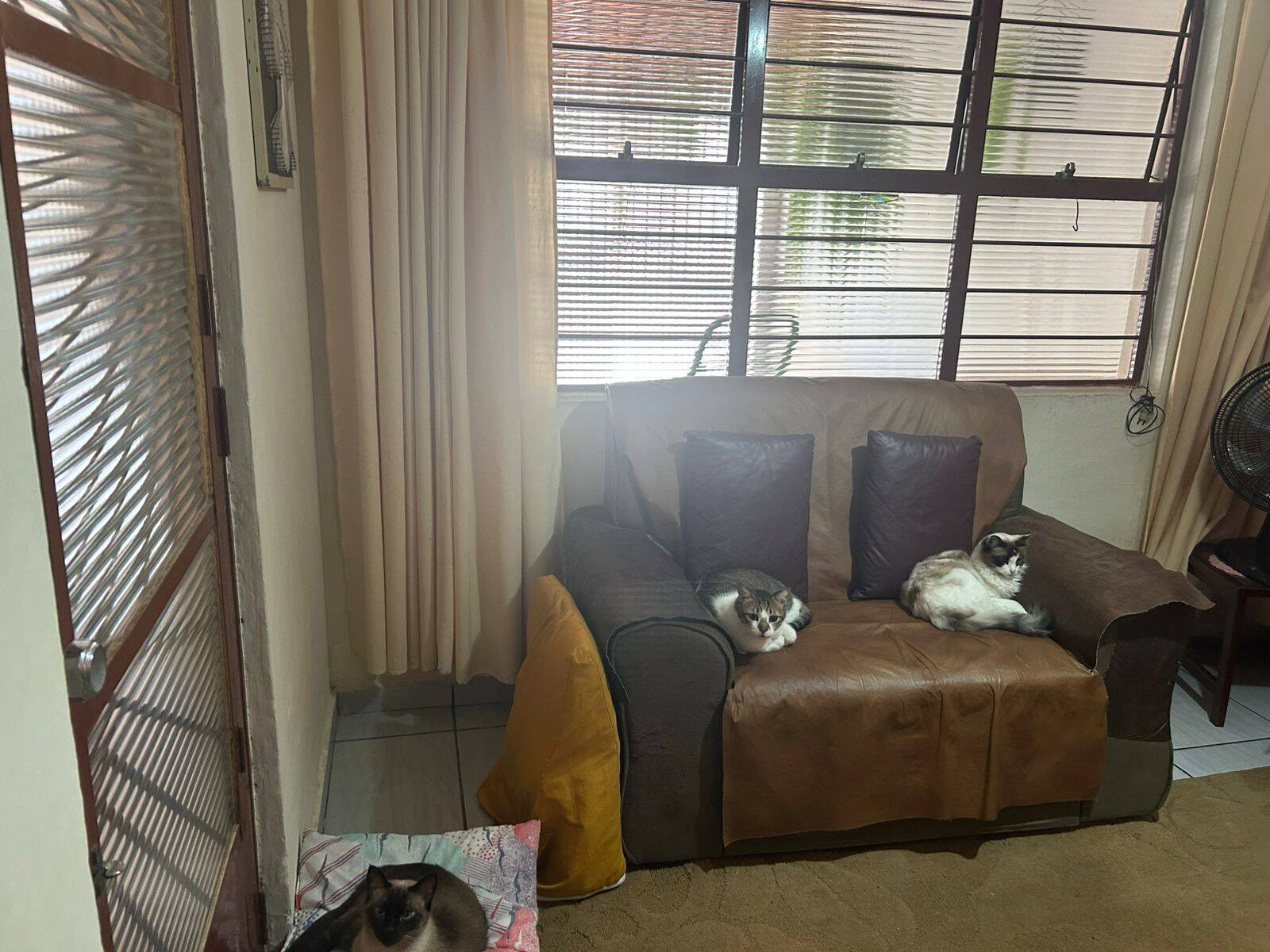 Casa, 3 quartos - Foto 25