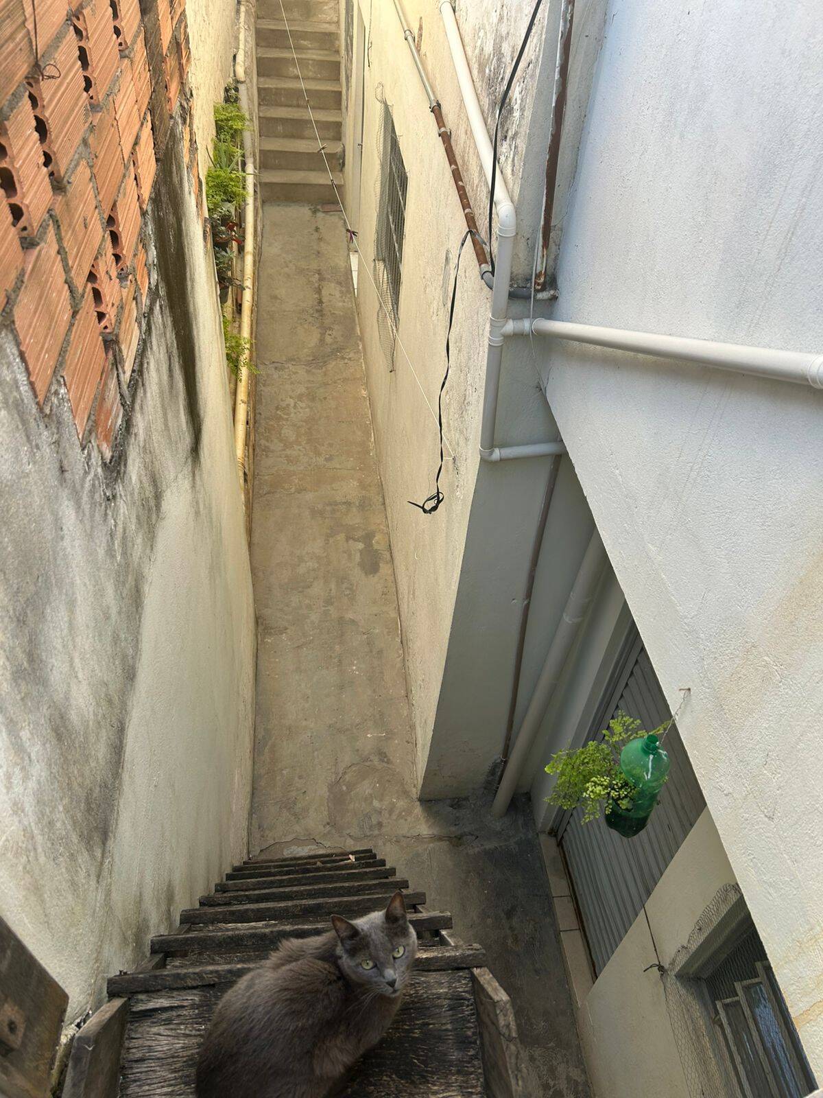 Casa, 3 quartos - Foto 28