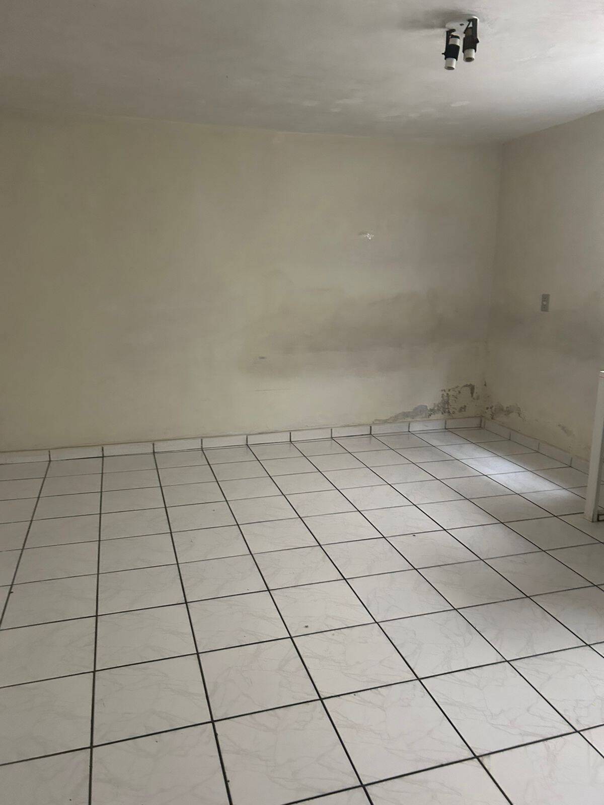 Casa, 3 quartos - Foto 33