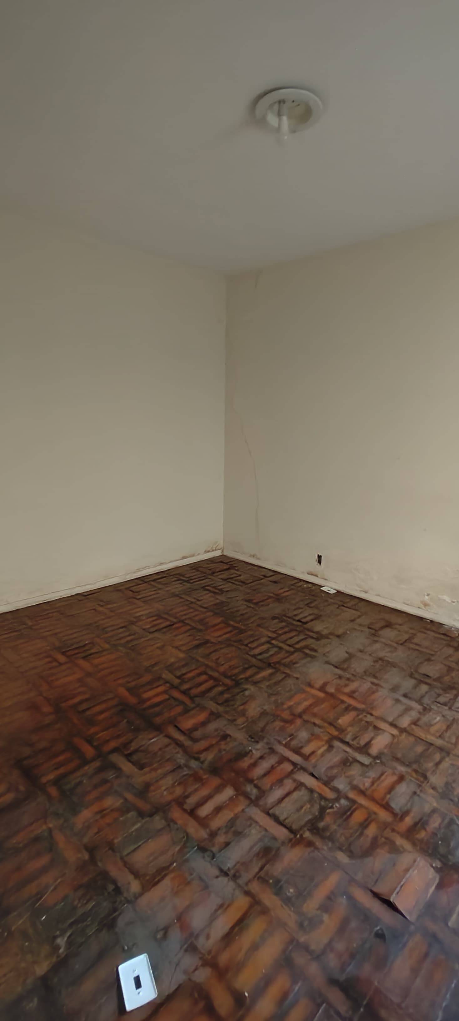 Casa, 4 quartos, 217 m² - Foto 8