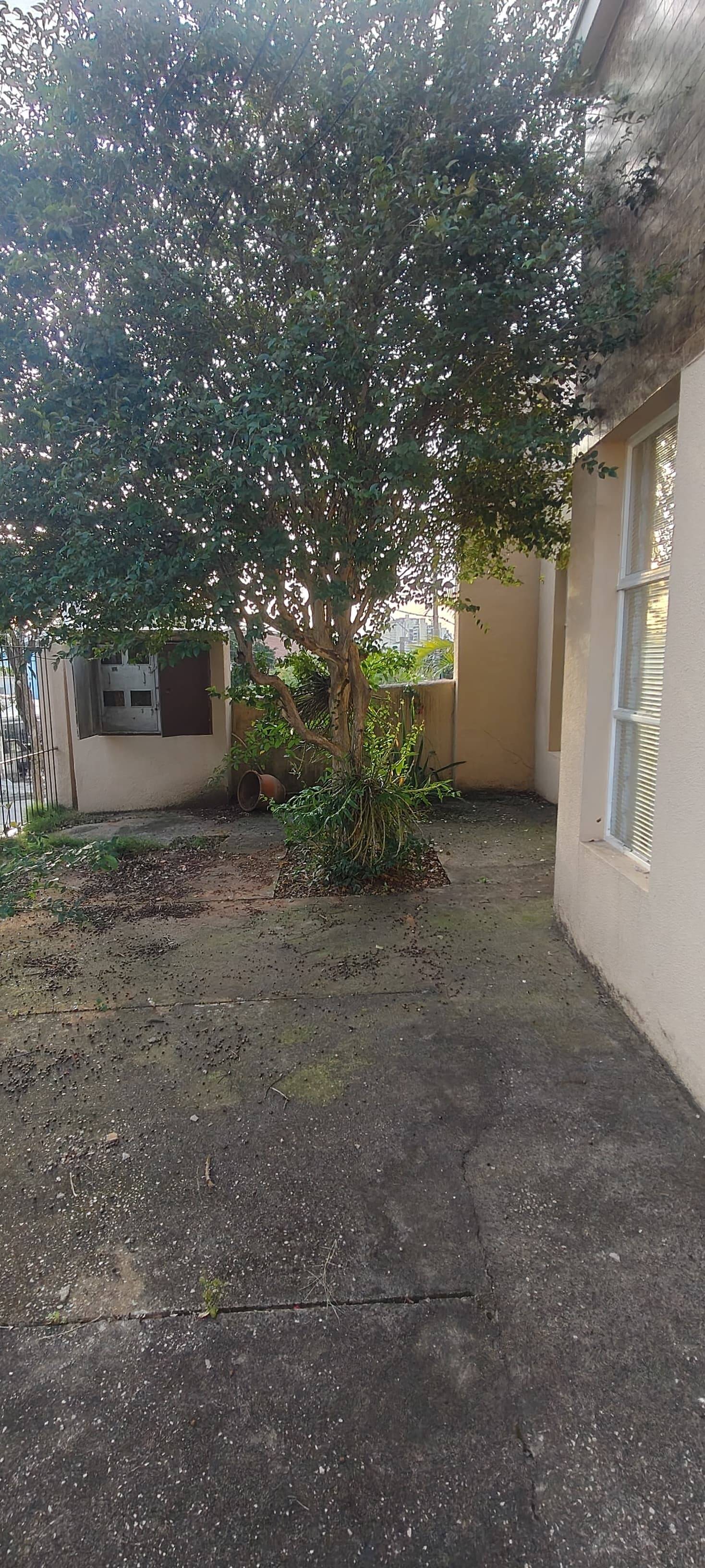 Casa, 4 quartos, 217 m² - Foto 14