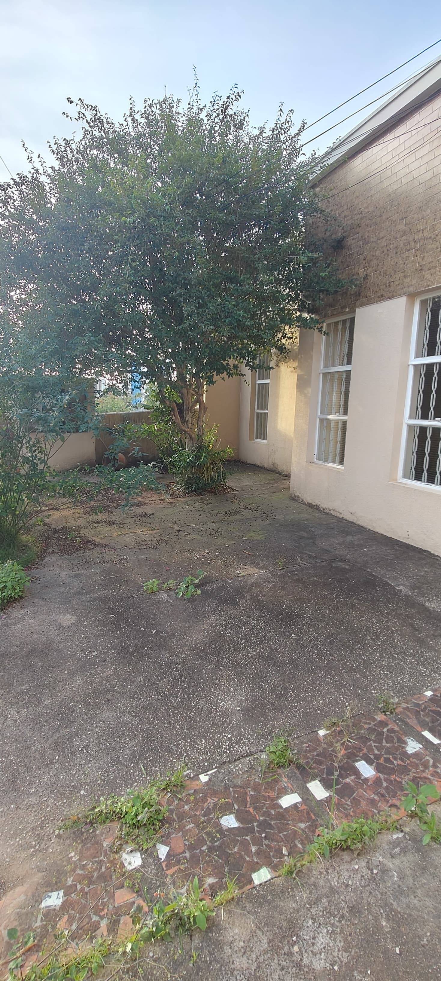 Casa, 4 quartos, 217 m² - Foto 40