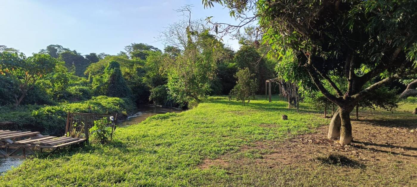 Sítio, 2 quartos, 1 hectares - Foto 4