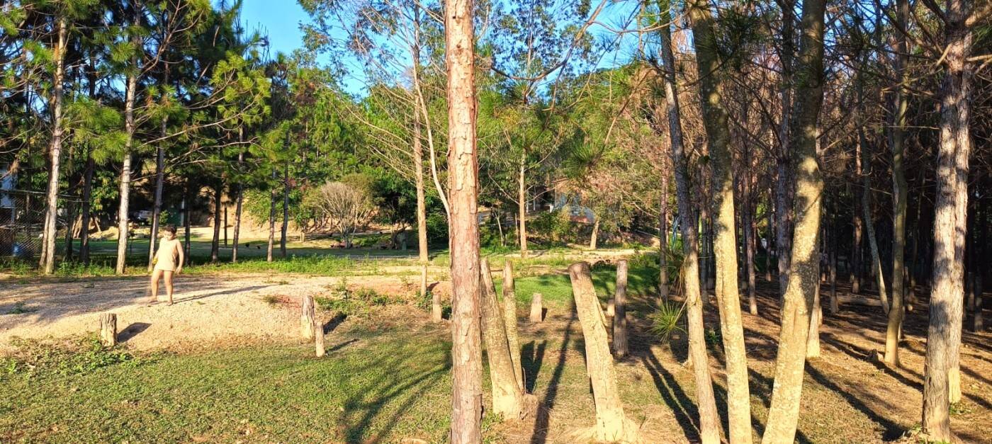 Sítio, 2 quartos, 1 hectares - Foto 6