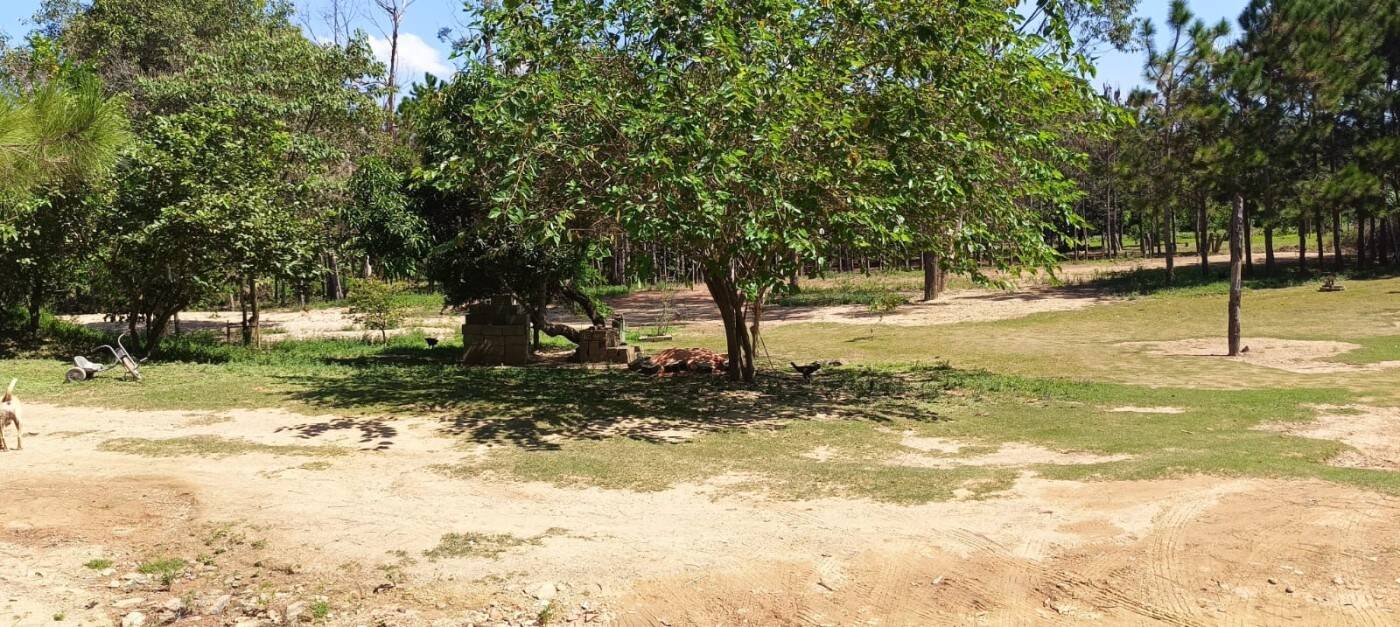 Sítio, 2 quartos, 1 hectares - Foto 10