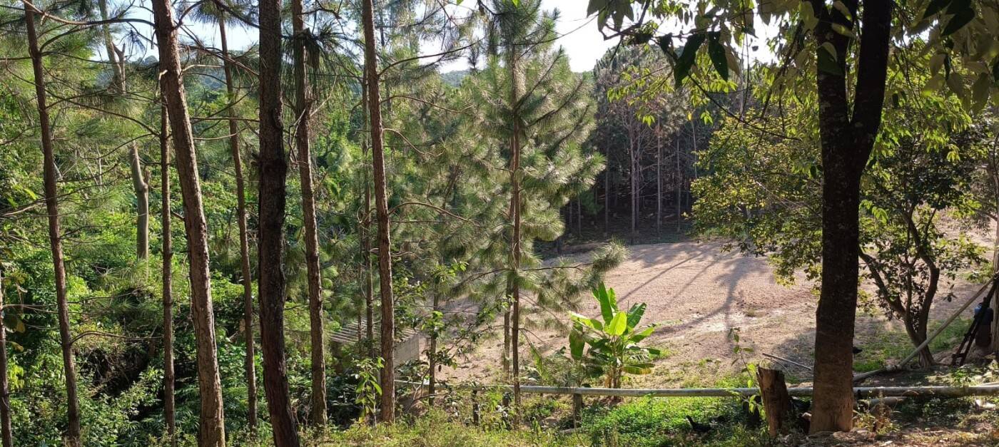 Sítio, 2 quartos, 1 hectares - Foto 11