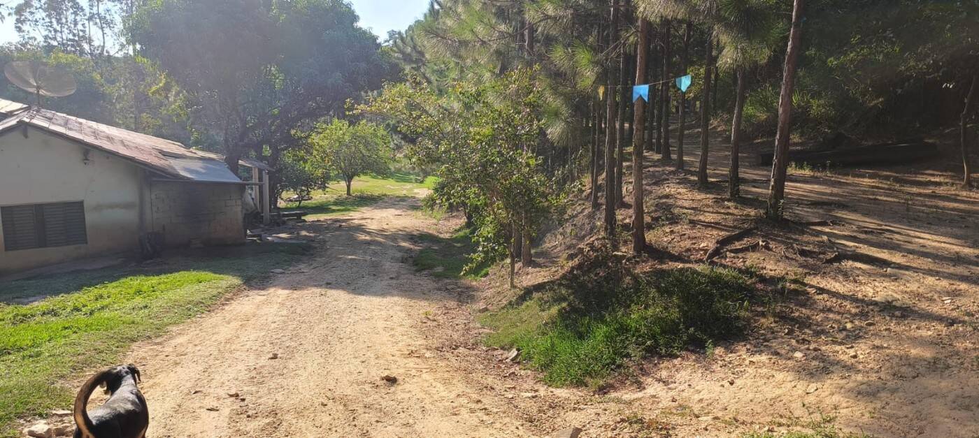 Sítio, 2 quartos, 1 hectares - Foto 14