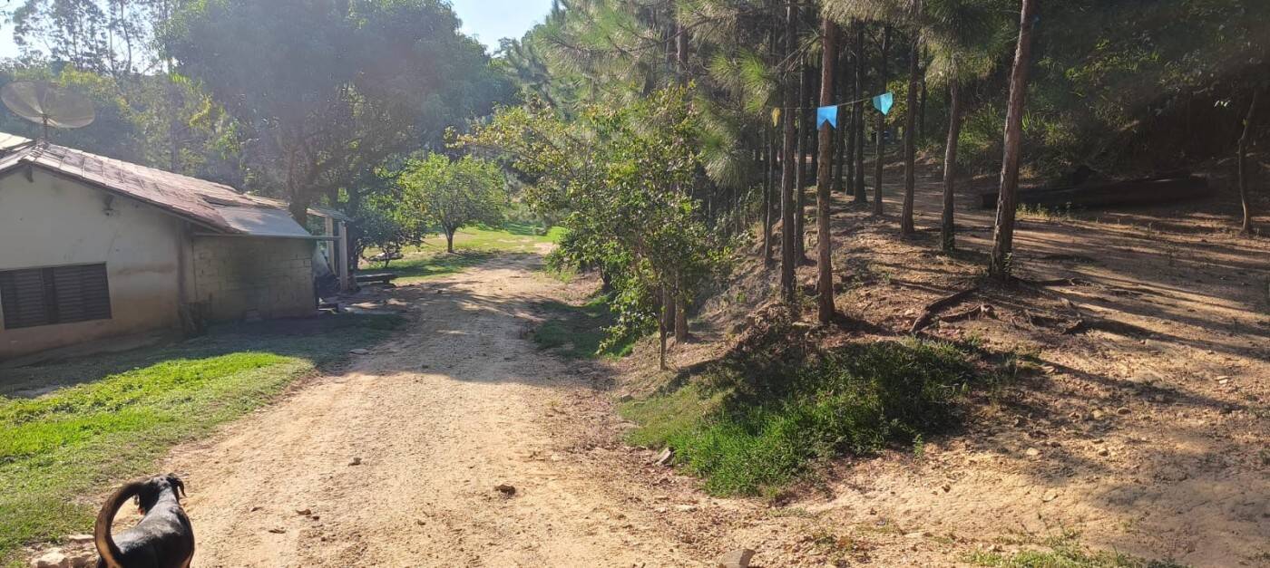 Sítio, 2 quartos, 1 hectares - Foto 13