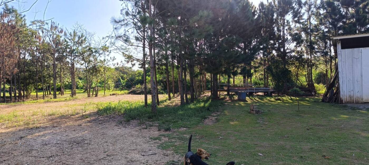 Sítio, 2 quartos, 1 hectares - Foto 19