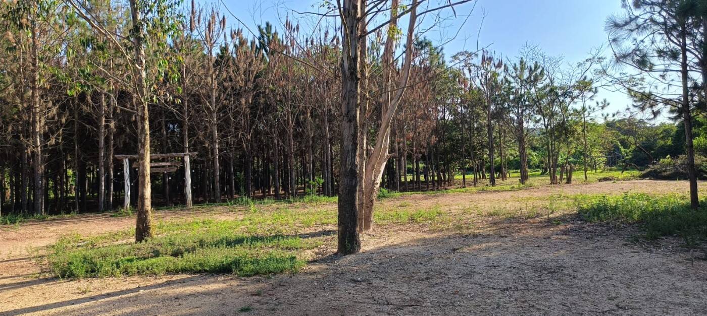 Sítio, 2 quartos, 1 hectares - Foto 20