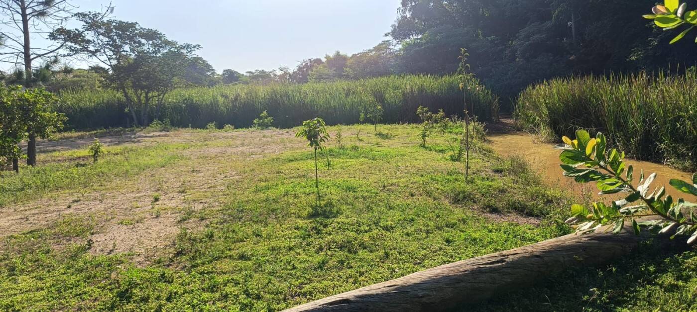 Sítio, 2 quartos, 1 hectares - Foto 22