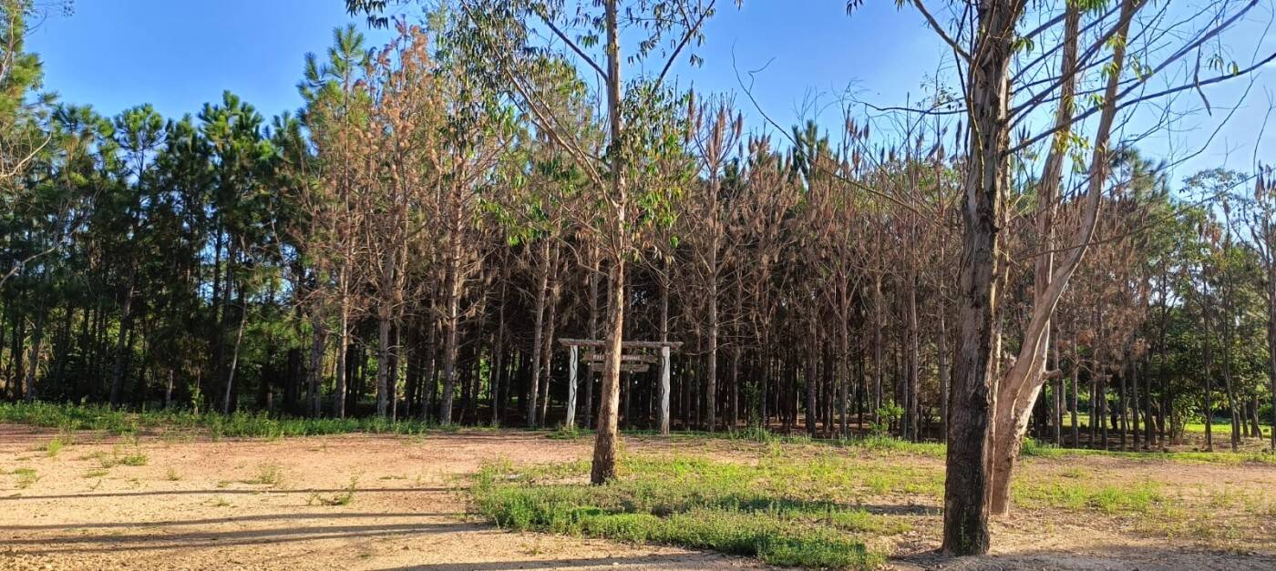 Sítio, 2 quartos, 1 hectares - Foto 21